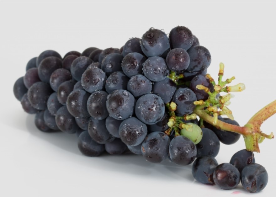 Grapes - Image 4