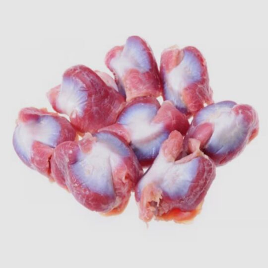 Chicken Gizzard