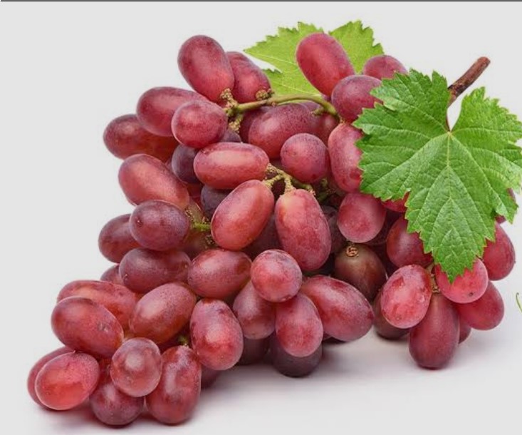Grapes - Image 2