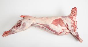 fresh lamb carcass