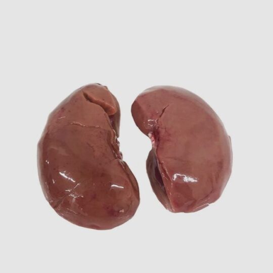 fresh lamb kidney