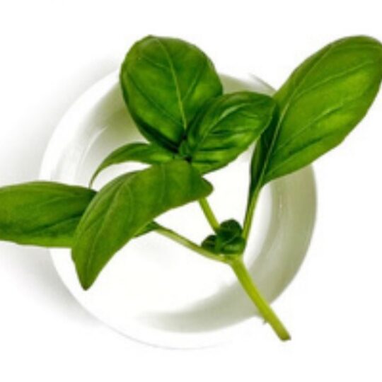 basil
