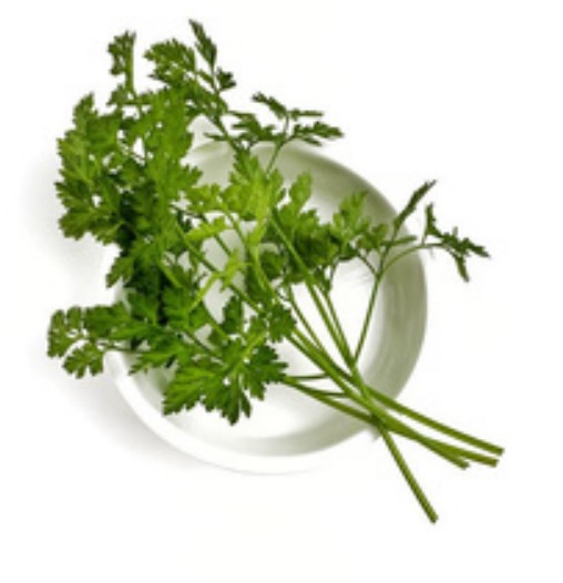 chervil
