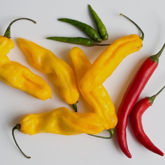 chili
