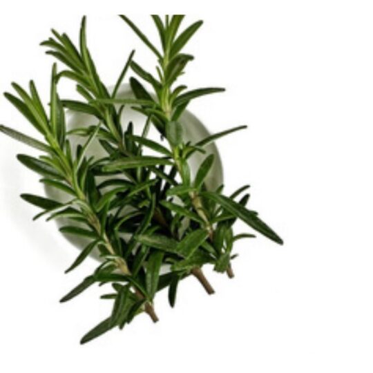 rosemary