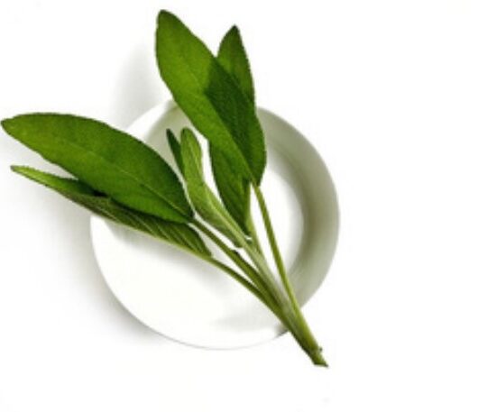 sage