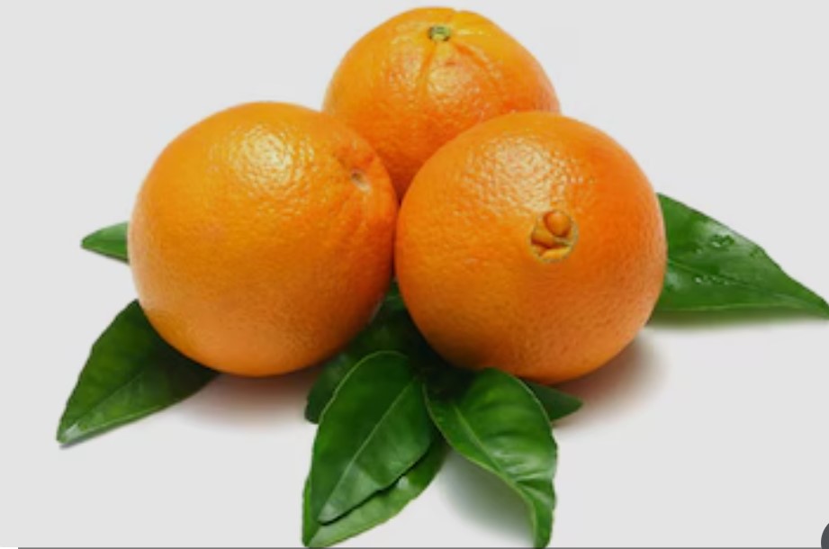Oranges - Image 2