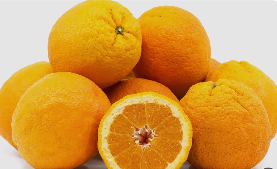 Oranges - Image 3