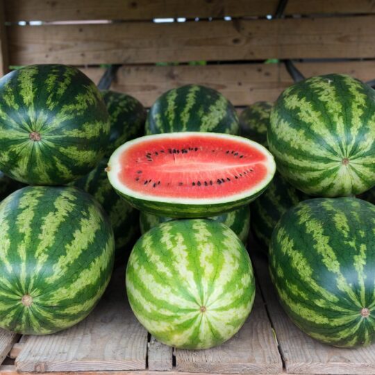 watermelon