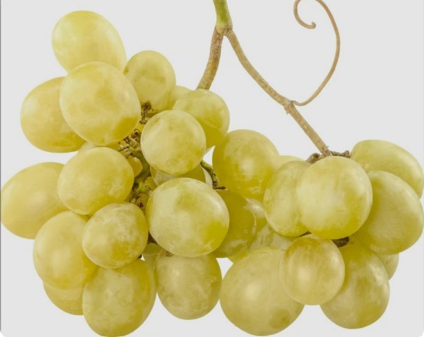 Grapes - Image 7